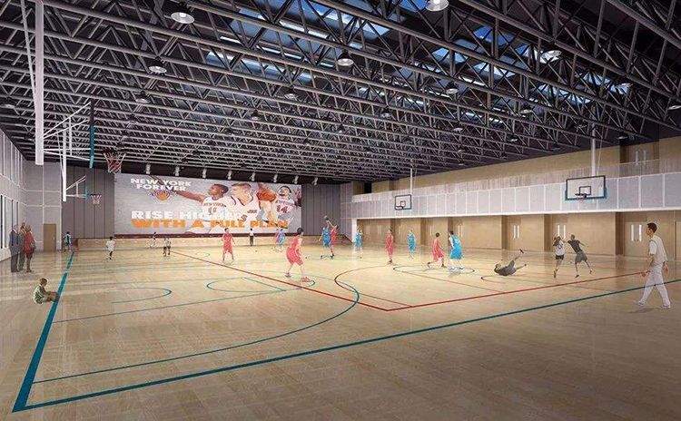 湖南常德學校體育館平板空間吸聲體工程 湖南常德學校體育館平板空間吸聲體工程